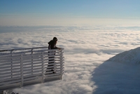 Hokejka, nejkrásnější cesta Vysokých Tater Hokejka, nejkrásnější cesta Vysokých Tater
