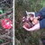Houby AKTUÁLNĚ 2015 Houby AKTUÁLNĚ 2015