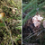 Houby AKTUÁLNĚ 2015 Houby AKTUÁLNĚ 2015