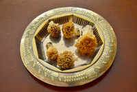 Houbařská sezona ve Švýcarsku skončila Houbařská sezona ve Švýcarsku skončila