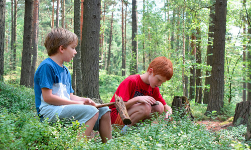 Houby AKTUÁLNĚ 2023 Houby AKTUÁLNĚ 2023