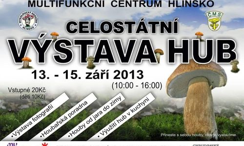Výstavy hub v září a říjnu 2013 Výstavy hub v září a říjnu 2013