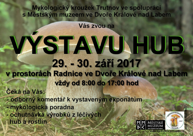 Výstavy hub 2017