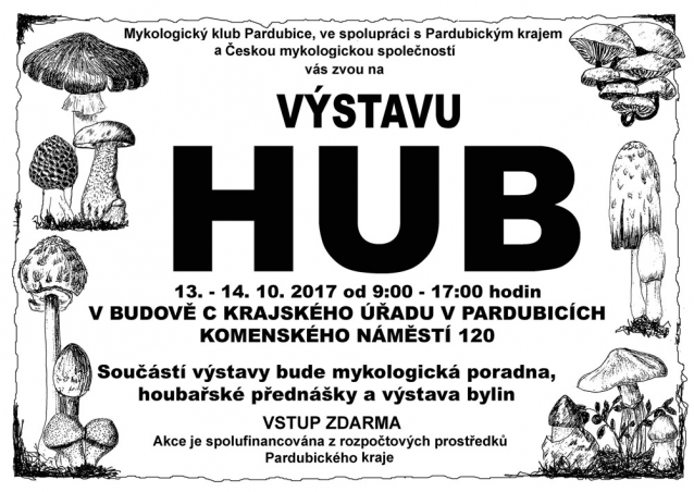 Výstavy hub 2017