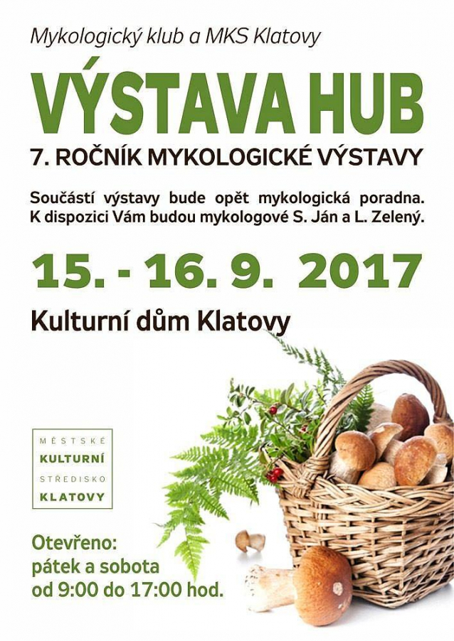 Výstavy hub 2017