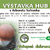 Výstavy hub 2018 Výstavy hub 2018
