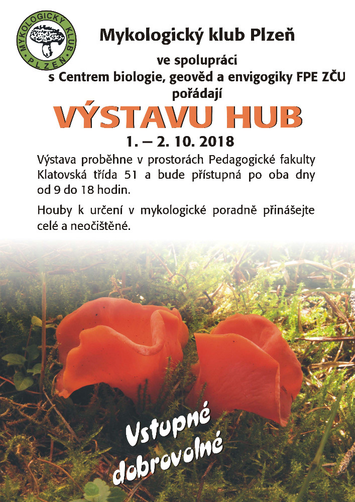 Plzeň, výstava hub.
