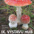 Výstavy hub 2018 Výstavy hub 2018