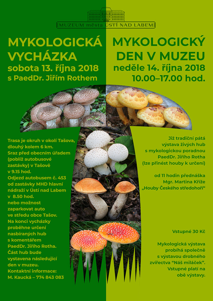 Mykologický den v Muzeu města Ústí nad Labem.