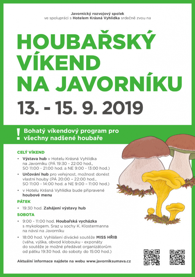 Výstavy hub 2019