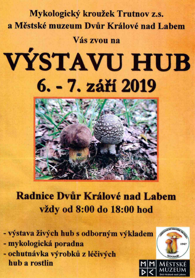 Výstavy hub 2019