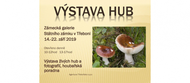 Výstavy hub 2019