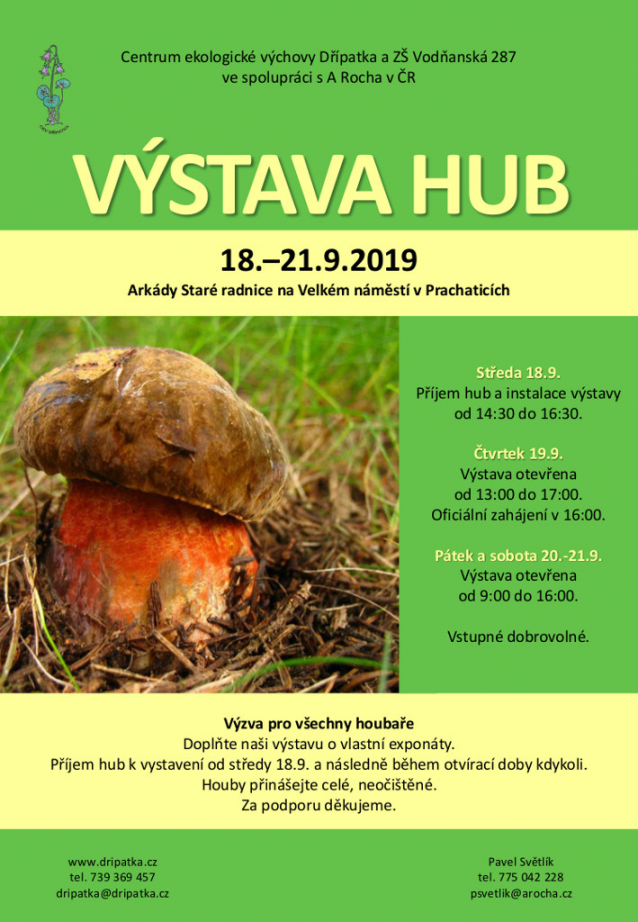 Výstavy hub 2019