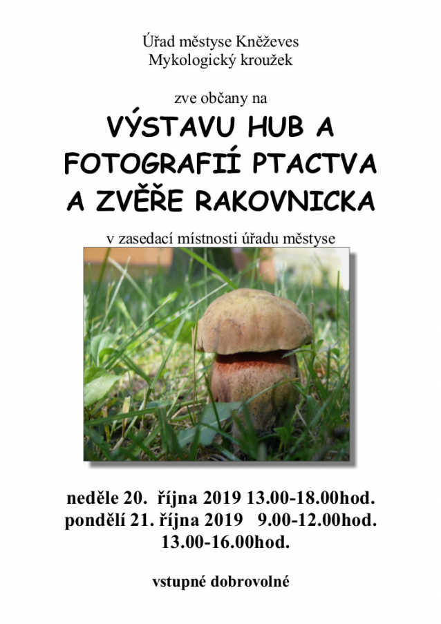 Výstavy hub 2019