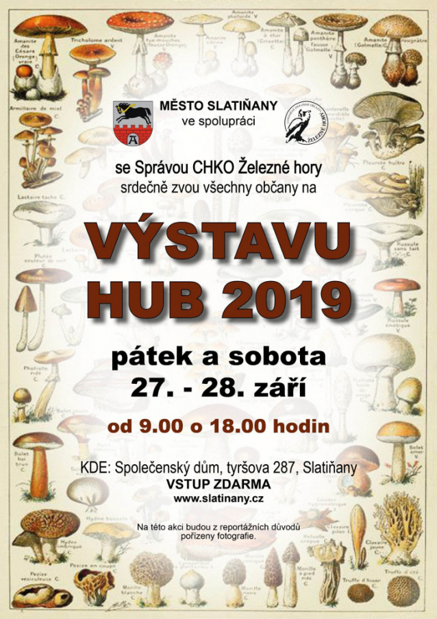 Výstavy hub 2019