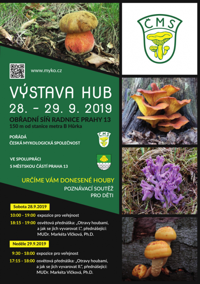 Výstavy hub 2019