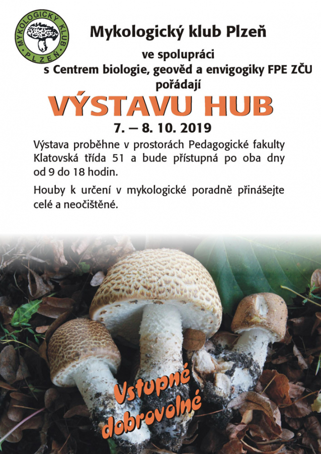 Výstavy hub 2019