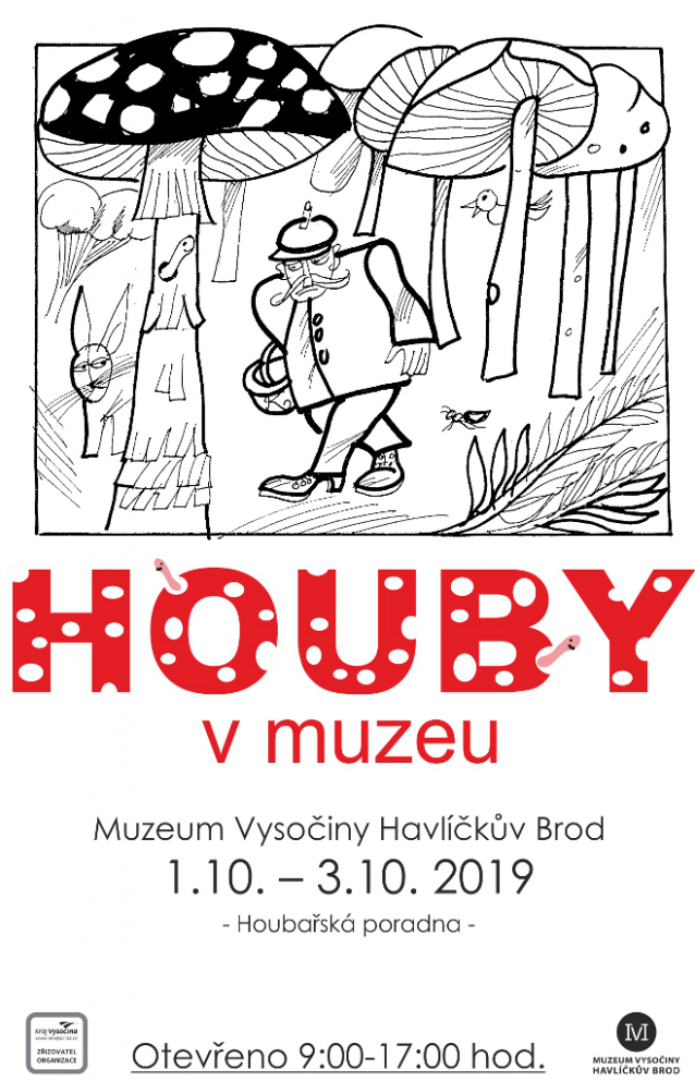 Výstavy hub 2019