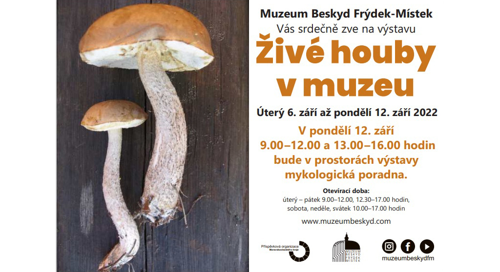 Živé houby v muzeu Beskyd, Frýdek-Místek.