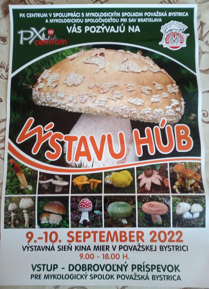 Výstava hub Povážska Bystrica.