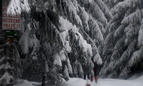 3 sněhové nehody v Beskydech a Javorníkách 3 sněhové nehody v Beskydech a Javorníkách