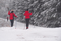 S běžkami do Brd S běžkami do Brd