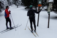 Z Pradědu na Červenohorské sedlo Z Pradědu na Červenohorské sedlo