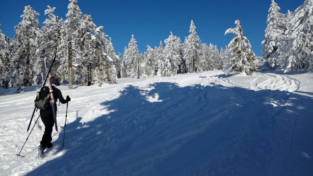 Blauer Kammweg neboli nejdelší Sudetská hřebenovka