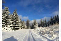 Fantastické stopy v Polsku Fantastické stopy v Polsku