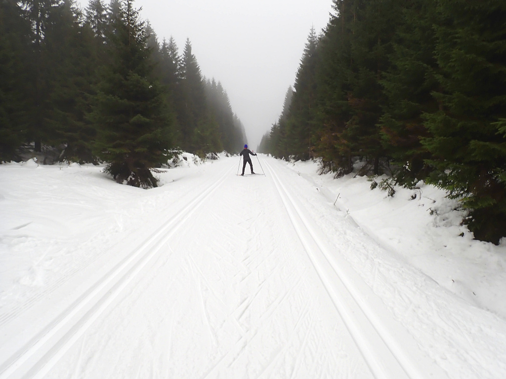 Cesta pod Černým vrchem. Jizerské hory.