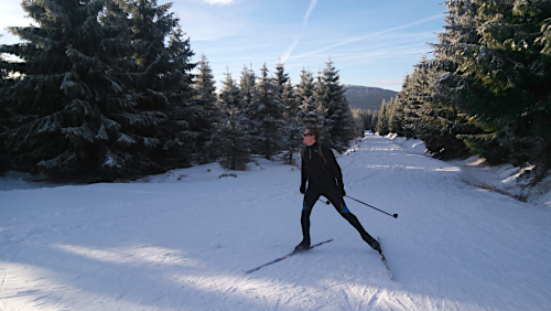 Lehký výlet na běžkách v Jizerských horách: Promenádní a Knížecí cesta