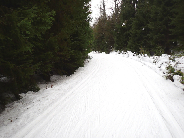 Lehký výlet na běžkách v Jizerských horách: Promenádní a Knížecí cesta