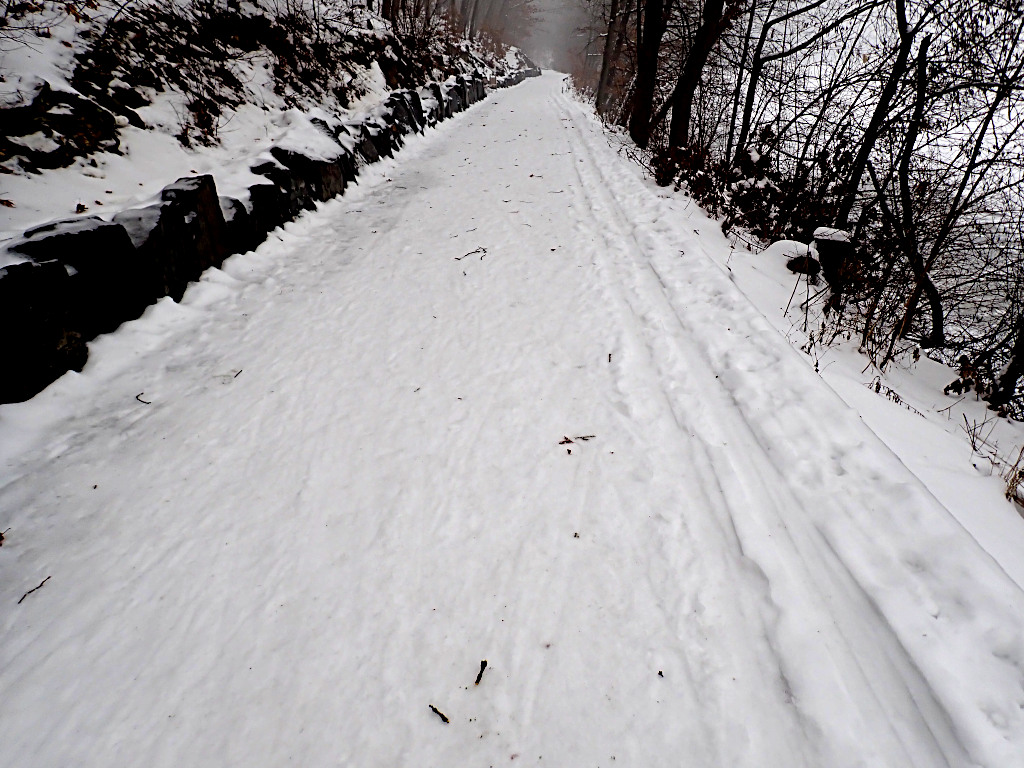 Cyklostezka podél Hostivařské přehrady se změnila na běžkařskou stopu.