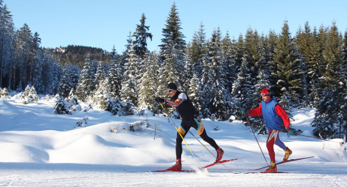 Šumava AKTUÁLNĚ 2016