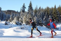 Šumava AKTUÁLNĚ 2016 Šumava AKTUÁLNĚ 2016