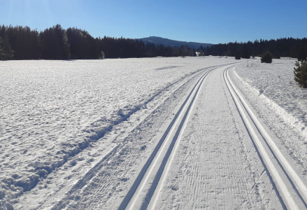 Lyžování a zimní dovolená na farmách Roter Hahn