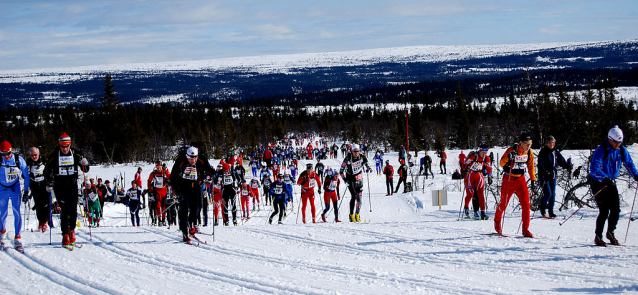 Birkebeinerrennet: běžky, kolo, běh