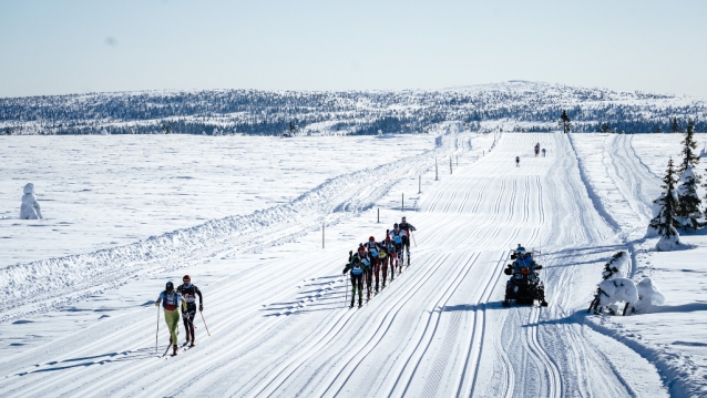 Birkebeinerrennet: běžky, kolo, běh