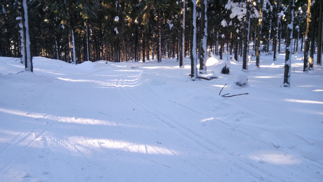 Paseky nad Jizerou, příjemné lyžování na loukách