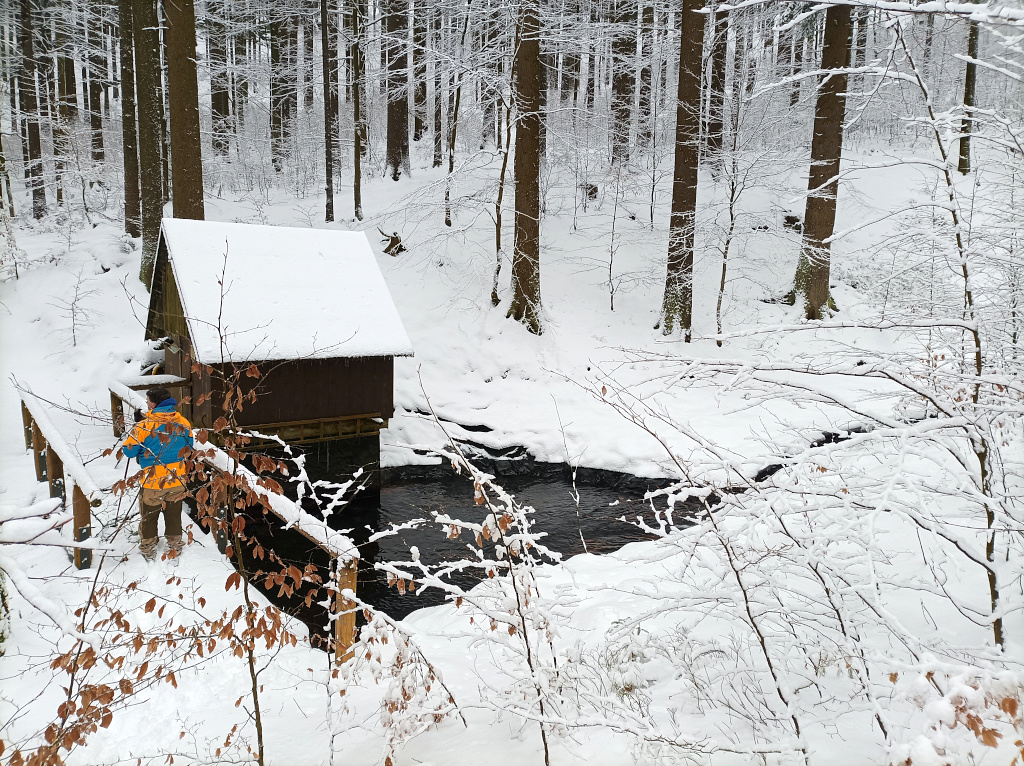 Paseky nad Jizerou, nádržka na Havírenském potoce.