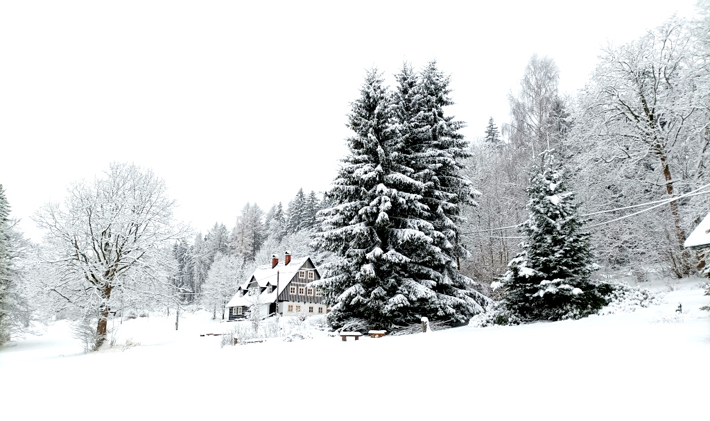 Na Bosně pod Štěpánkou.
