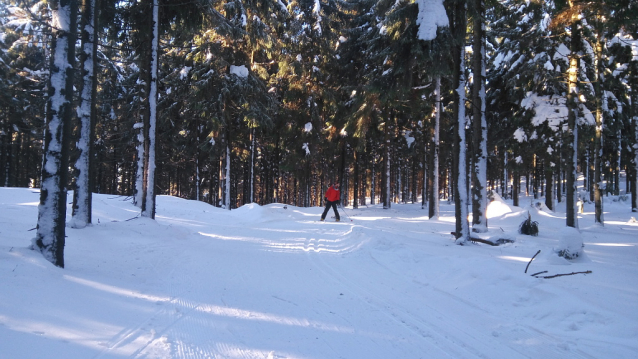 Paseky nad Jizerou, příjemné lyžování na loukách