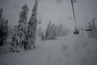 Snowboarďáci do Rokytnice