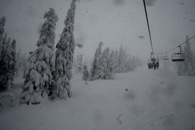 Snowboarďáci do Rokytnice