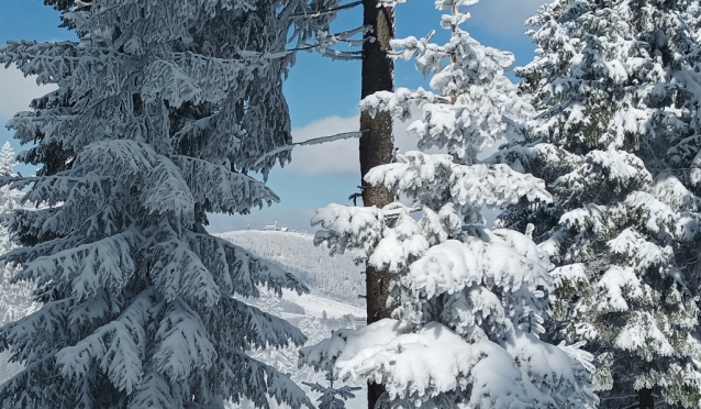 Klínovec, rozsáhlé lyžování v Krušných horách
