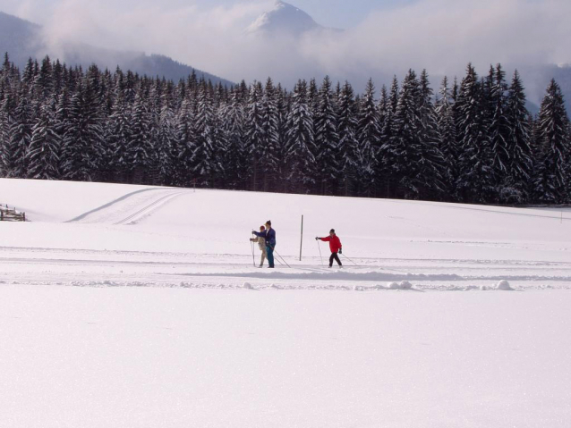 Ramsau/Schladming - běžky/sjezdovky