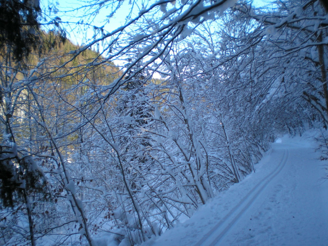 Lackenhof pod horou Ötscher