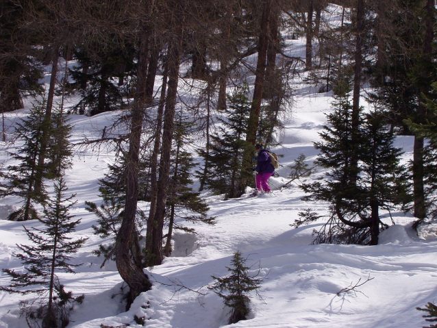 Vallesinella: Dlouhý a lehký freeride v Dolomiti di Brenta