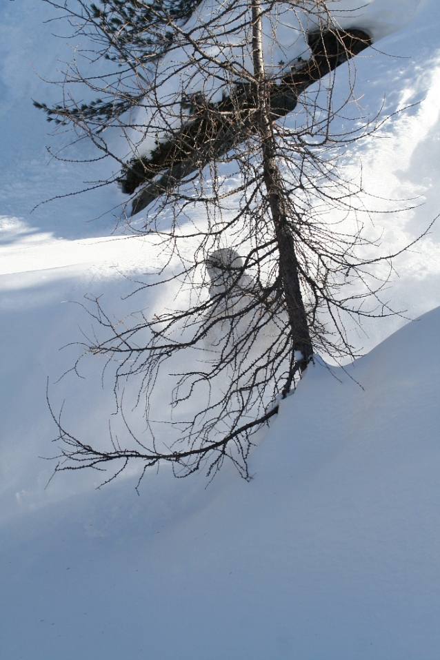 Marilleva: freeride pro všechny