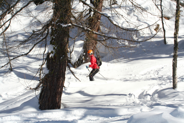 Marilleva: freeride pro všechny